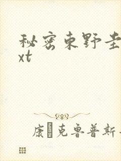 秘密东野圭吾txt封面