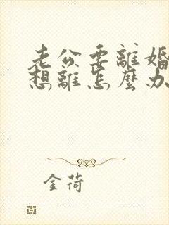 老公要离婚我不想离怎么办怎么挽留封面
