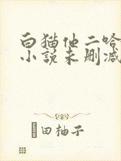白猫他二哈师尊小说未删减