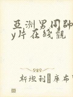 亚洲男同帅gay片在线观