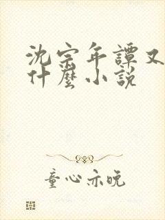 沈宗年谭又明是什么小说
