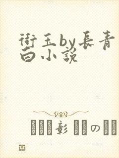 街玉by长青长白小说封面