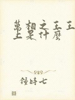 万相之王王境之上是什么