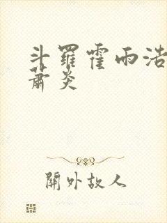 斗罗霍雨浩拜师萧炎封面