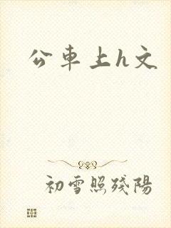 公车上h文