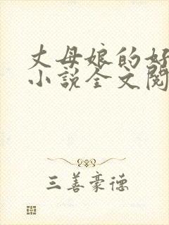 丈母娘的好女婿小说全文阅读封面