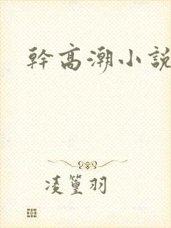 干高潮小说高h