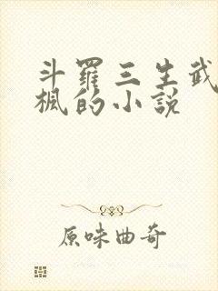 斗罗三生武魂叶枫的小说