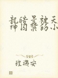 龙皓晨被天谴之神囚禁的小说封面