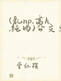 (乱np,高h,纯肉)公交车群p小说封面
