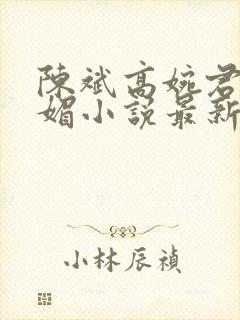 陈斌高婉君赵心媚小说最新章节