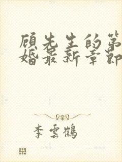 顾先生的第一宠婚最新章节封面