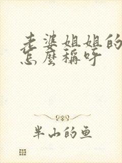 老婆姐姐的女儿怎么称呼