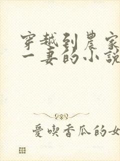 穿越到农家五夫一妻的小说封面