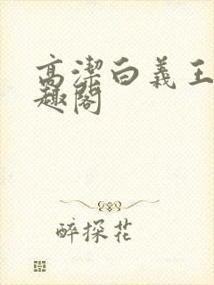 高洁白义王申笔趣阁封面