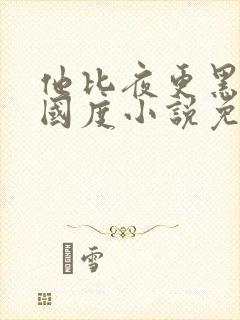 他比夜更黑无罪国度小说免