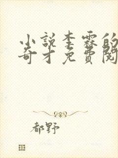 小说李霖的官场奇才免费阅读