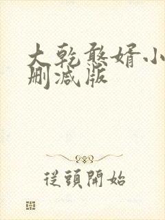 大乾憨婿小说无删减版