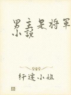 男主是将军古言小说