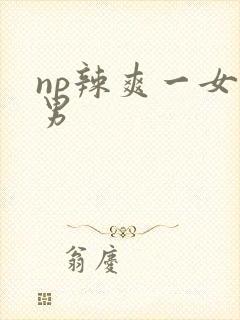np辣爽一女n男