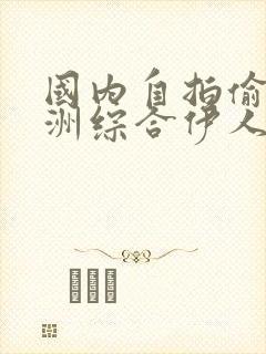 国内自拍偷区亚洲综合伊人