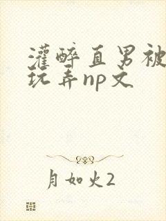 灌醉直男被下药玩弄np文封面