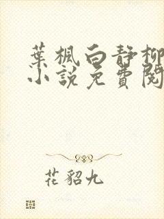 叶枫白静柳如烟小说免费阅读封面