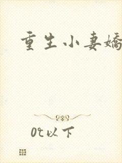 重生小妻娇又甜
