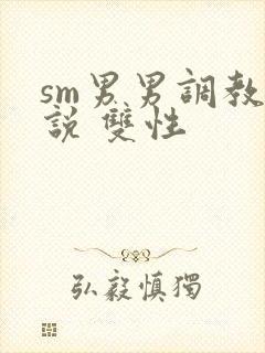 sm男男调教小说 双性