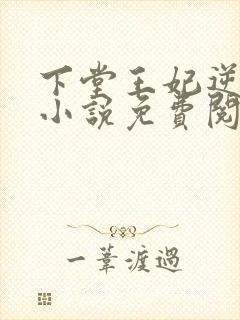下堂王妃逆袭记小说免费阅读