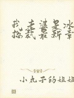 我老婆是冰山女总裁最新章节小说