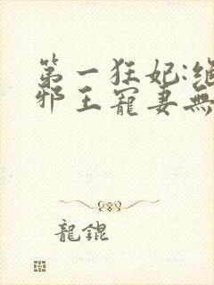 第一狂妃:绝色邪王宠妻无度