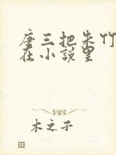 唐三把朱竹清压在小说里封面