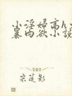 小淫妇高h文黄暴肉欲小说