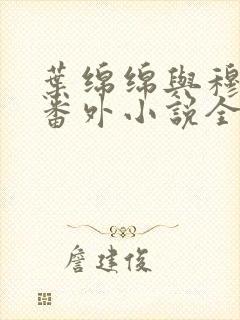 叶绵绵与穆以冬番外小说全文阅读封面