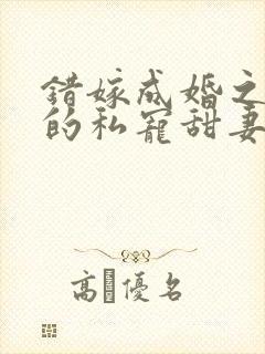 错嫁成婚之总裁的私宠甜妻在线阅读封面