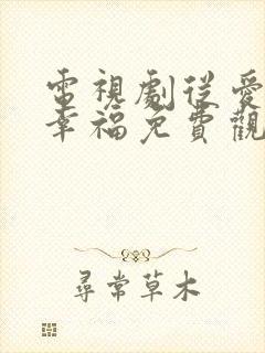 电视剧从爱情到幸福免费观看全集