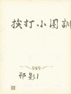 挨打小圈训诫文