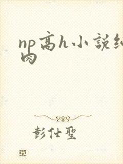 np高h小说纯肉