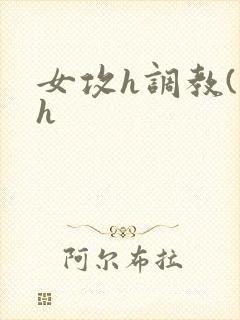 女攻h调教(高h