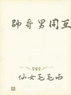 帅哥男同互操