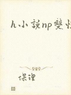 h小说np双性