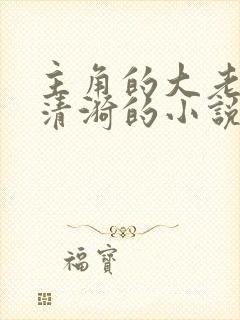 主角的大老婆叫清漪的小说