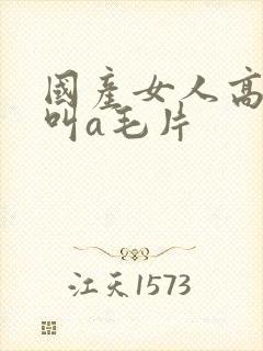 国产女人高潮大叫a毛片