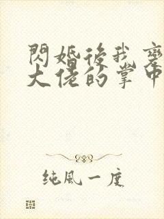 闪婚后我变成了大佬的掌中之物