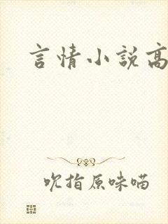 言情小说高h文