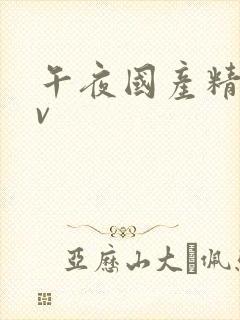 午夜国产精品av
