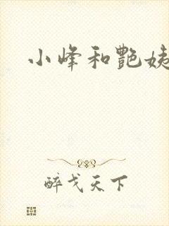 小峰和艳姨封面