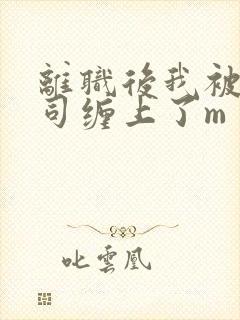 离职后我被前上司缠上了m