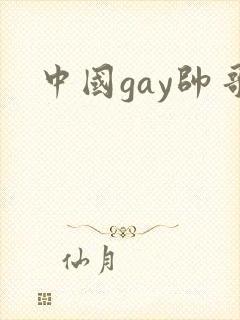 中国gay帅哥